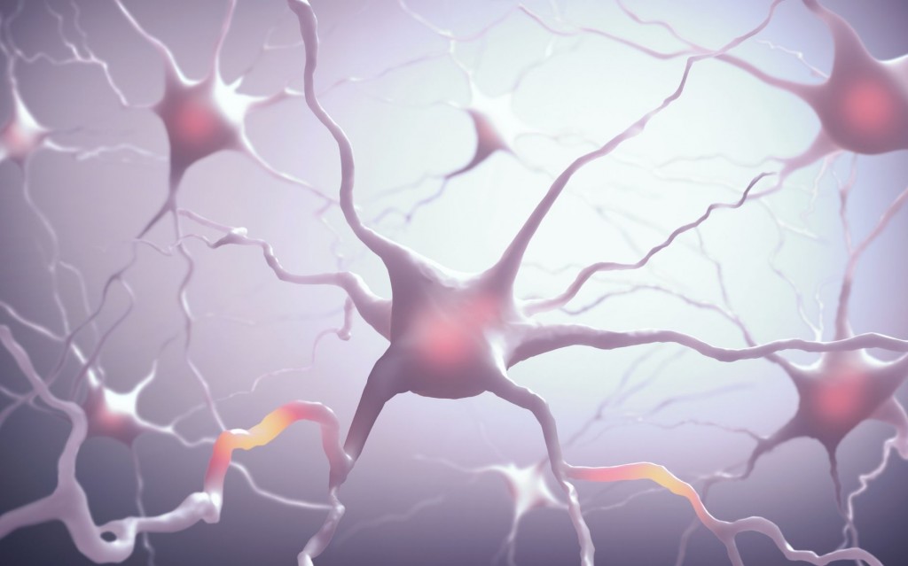 neuronas espejo fisioavilés